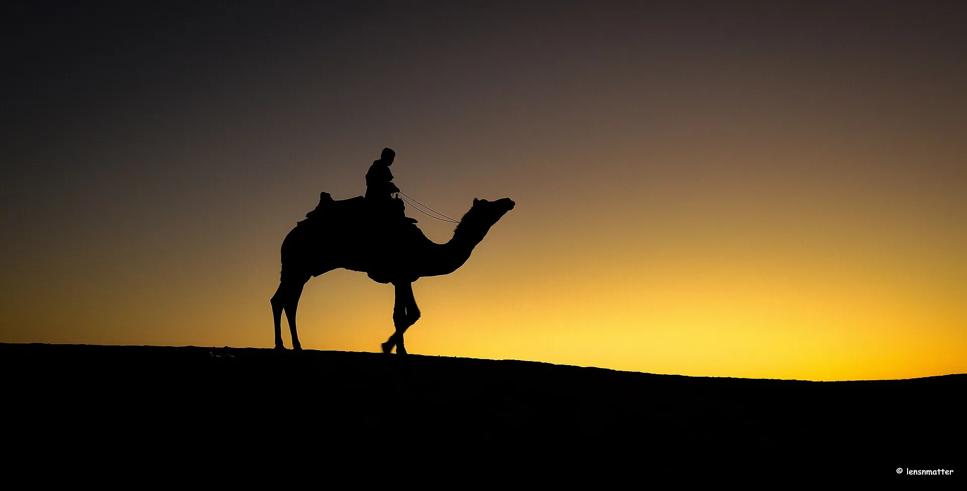 Camel Safari in the Thar Desert near Jaisalmer