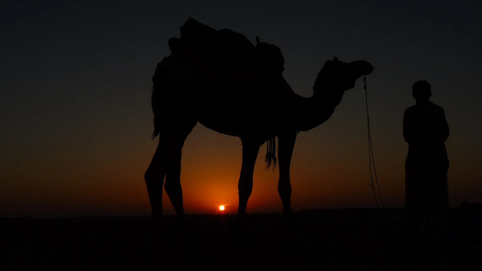 Half-Day Sunset Camel Safari — Sand Dunes, Jaisalmer